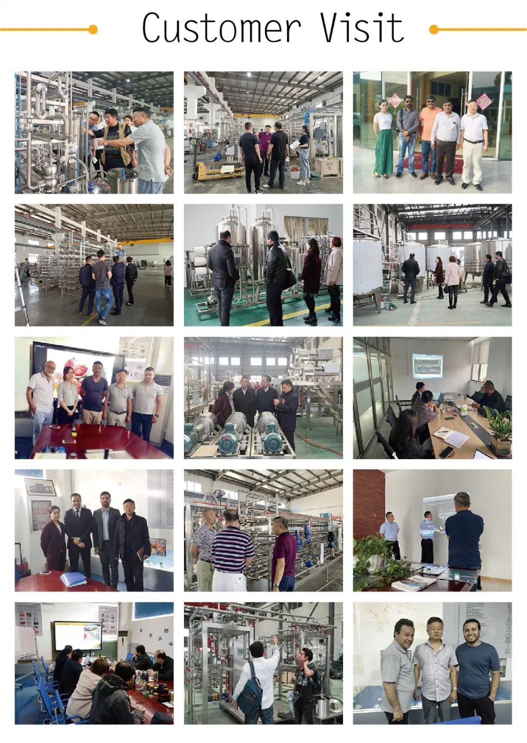 Customized 1 Year Free Service and Life-Time Fruit Juice Processing Line Mango Machine