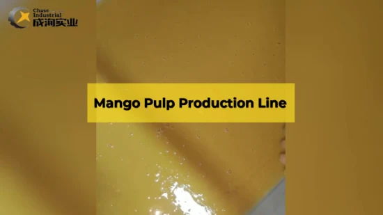 mermelada aséptica de la goma del mango/de la piña de la salsa de chile del paquete 220L que hace la línea de proceso